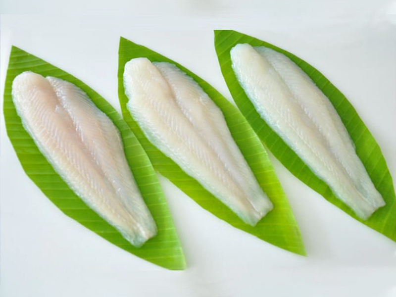 Pangasius fillets – Well trimmed